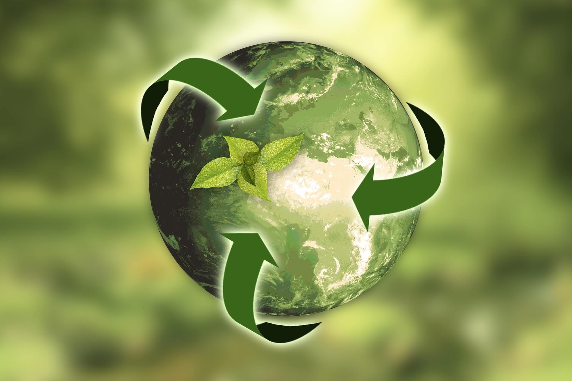 Environmental Responsibility